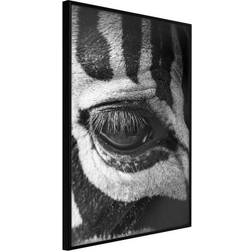 Arkiio Affisch Zebra Eye [Poster] 30x45 Poster